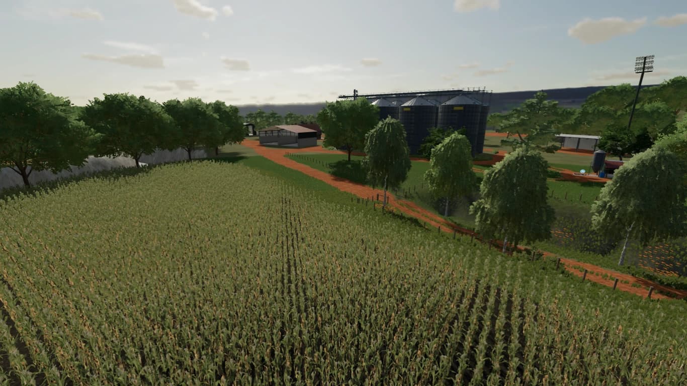 FAZENDA UMARI 3
