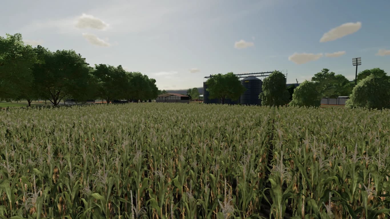 FAZENDA UMARI 2