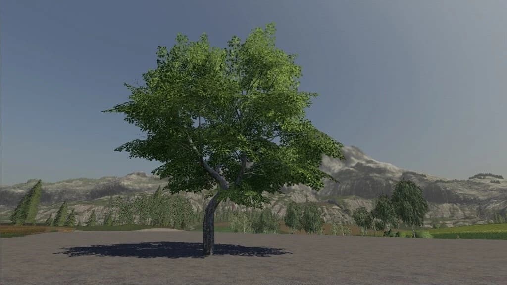 MAPLE TREE PASSIVE INCOME 4