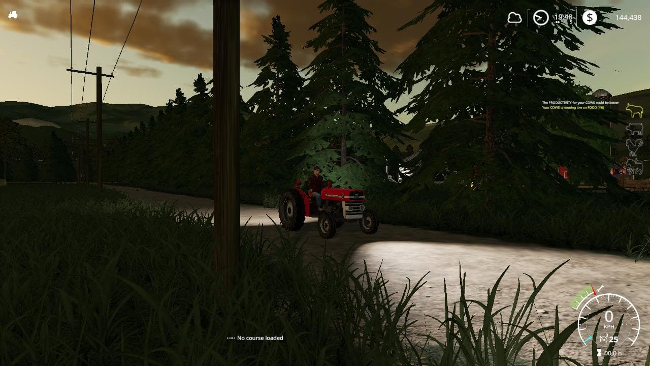 MASSEY FERGUSON 135 WIP 3