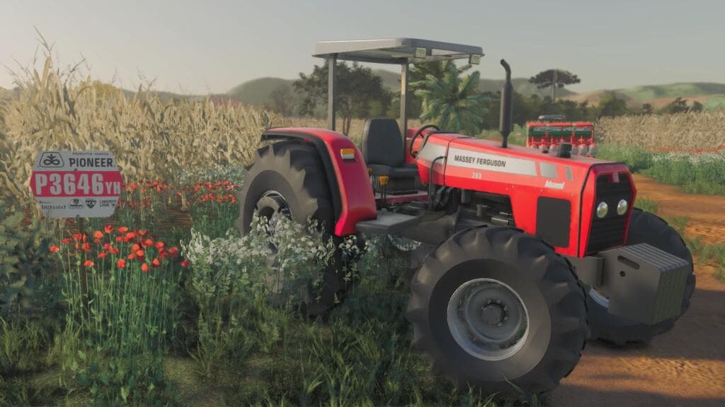 MASSEY FERGUSON 283 BRAZIL 4