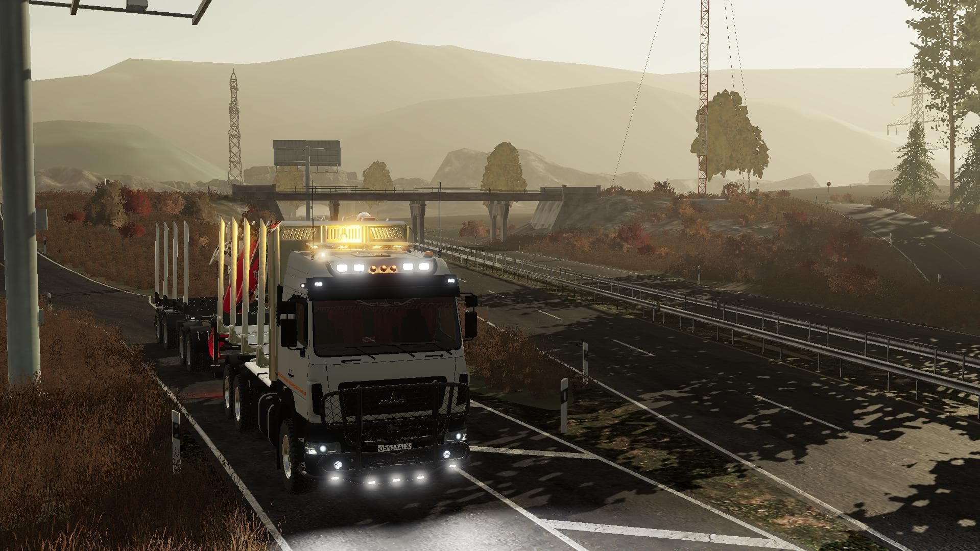 MAZ 631203 TIMBER TRUCK 5