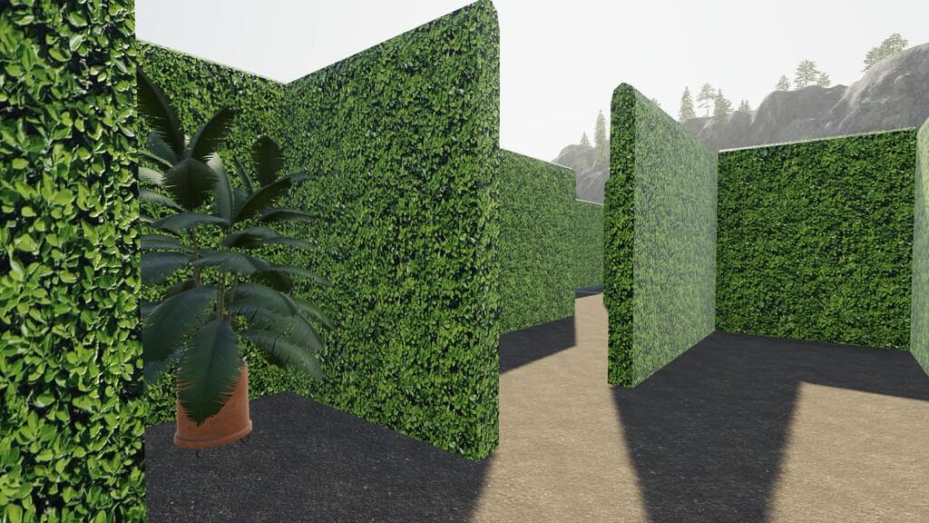 MAZE 3