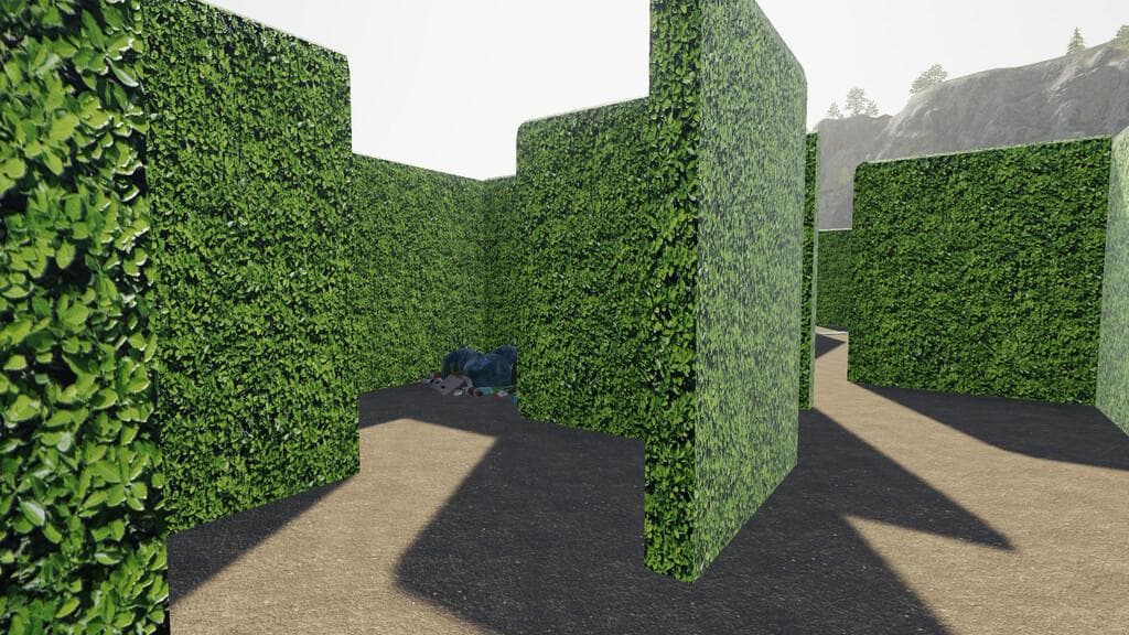 MAZE 2