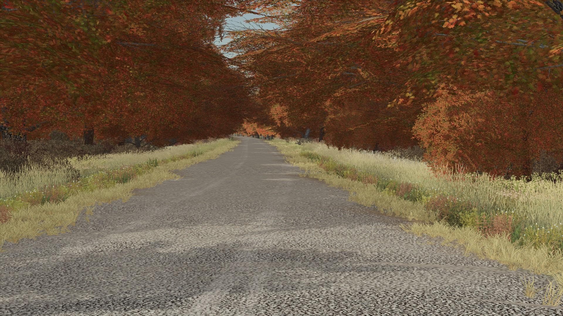 MEDICINE CREEK FS19 5