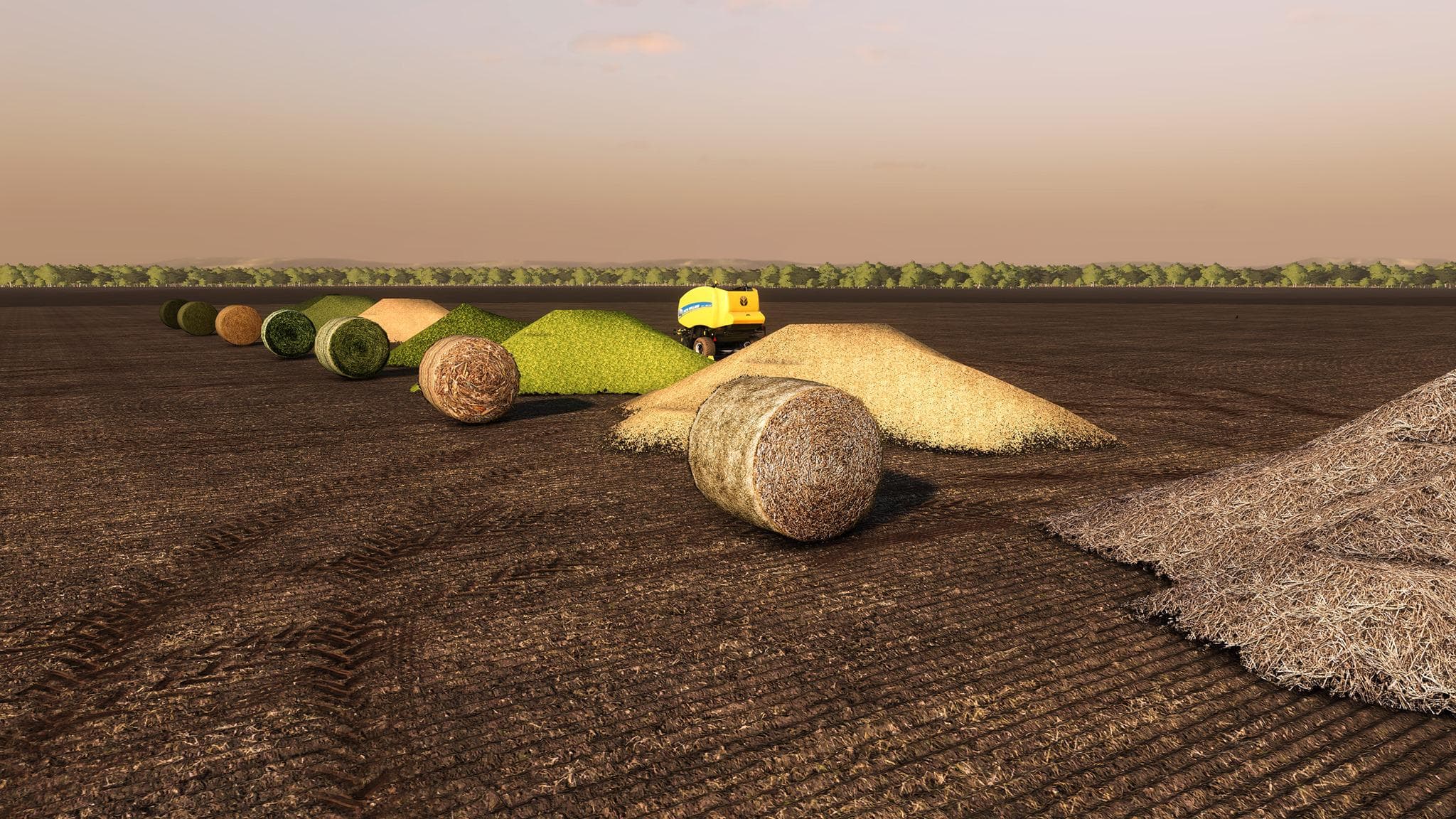 MEDICINE CREEK FS19 2