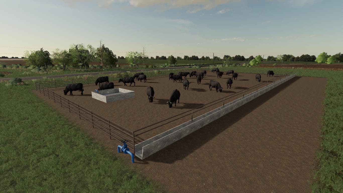 MEDIUM CATTLE FEED LOT 3