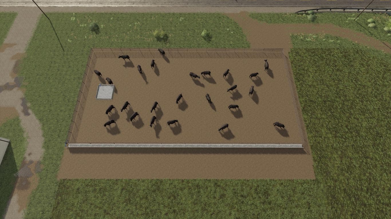 MEDIUM CATTLE FEED LOT 2