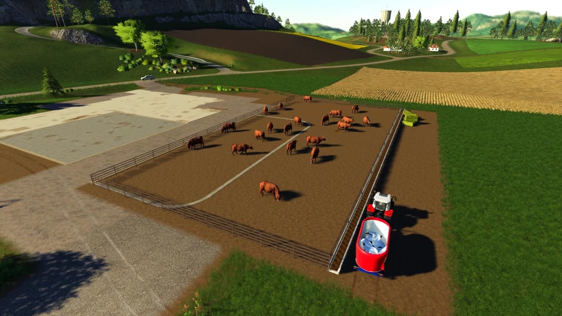 MEDIUM FEEDLOT