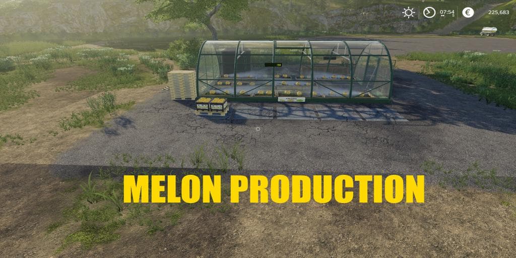 MELON PRODUCTION 3