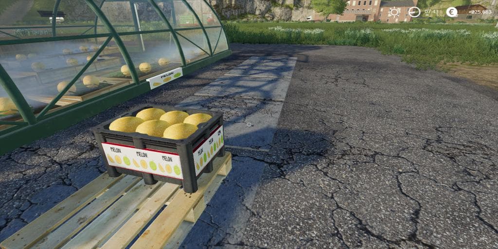 MELON PRODUCTION 2