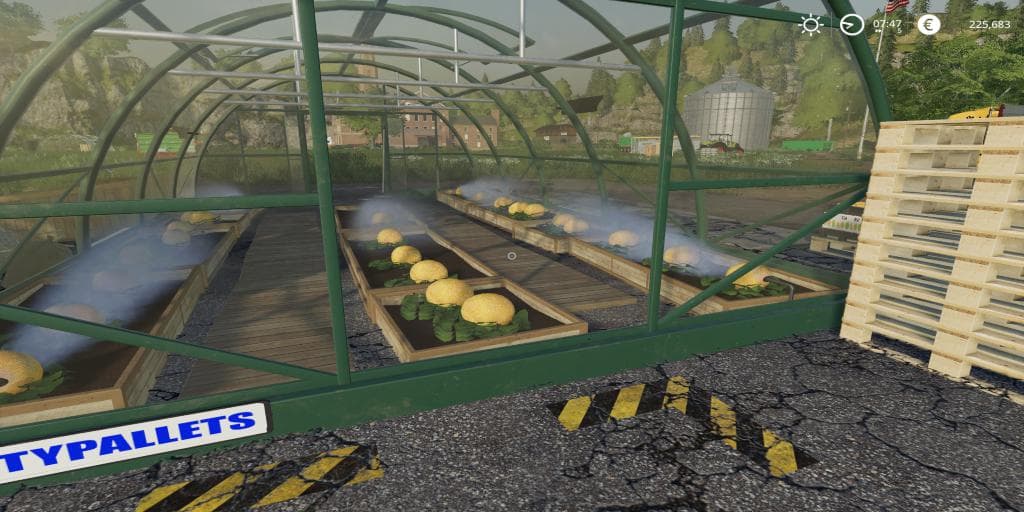 MELON PRODUCTION