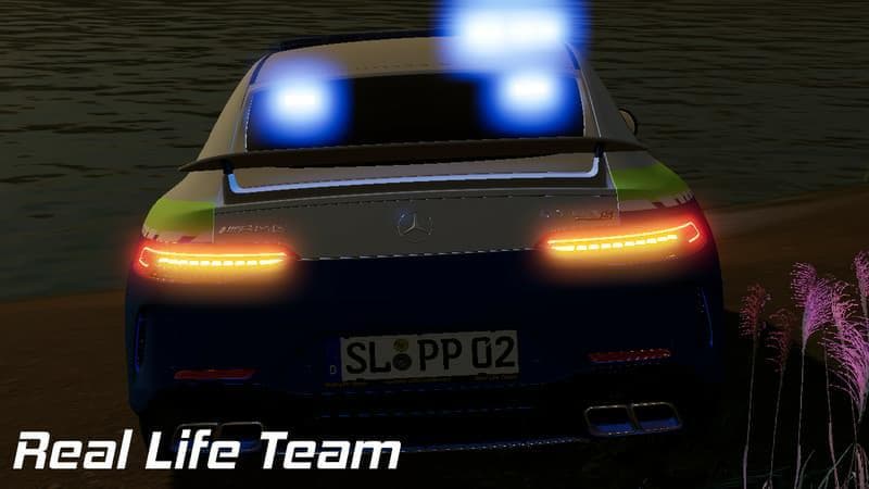 MERCEDES AMG 2019 2
