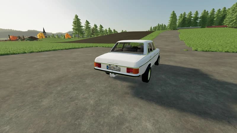 MERCEDES BENZ 220D 2