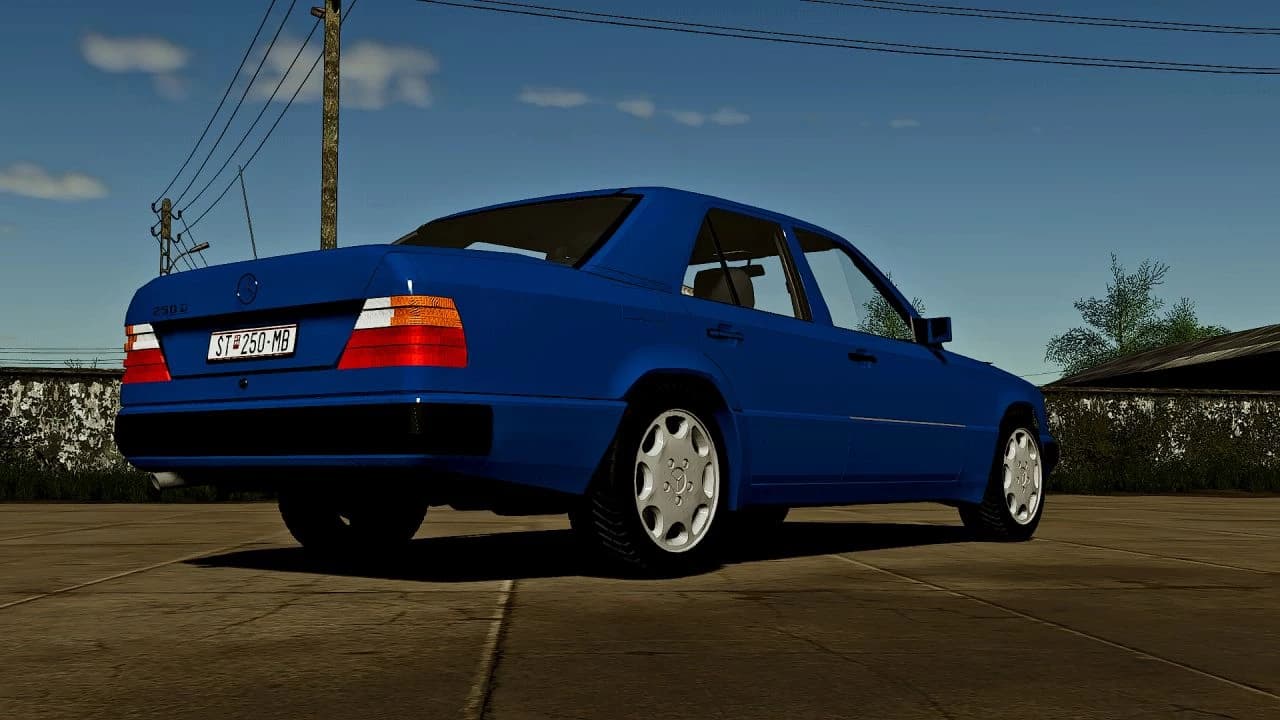 MERCEDES BENZ W124 250D 3
