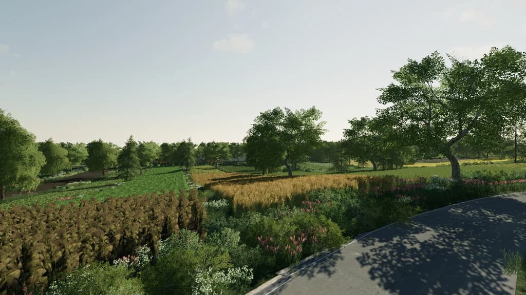 MICRO POLISH MAP 3