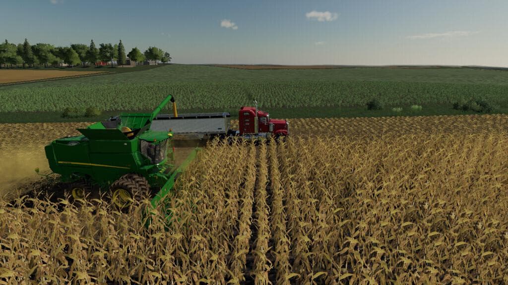 MILLENNIAL FARMS