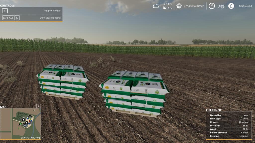 MILLENNIAL SEED PALLETS 3
