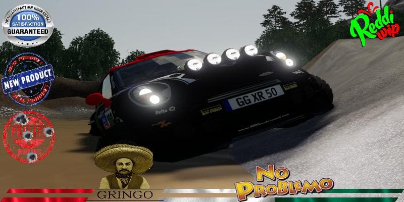 MINI ALL4 300 DAKAR 2