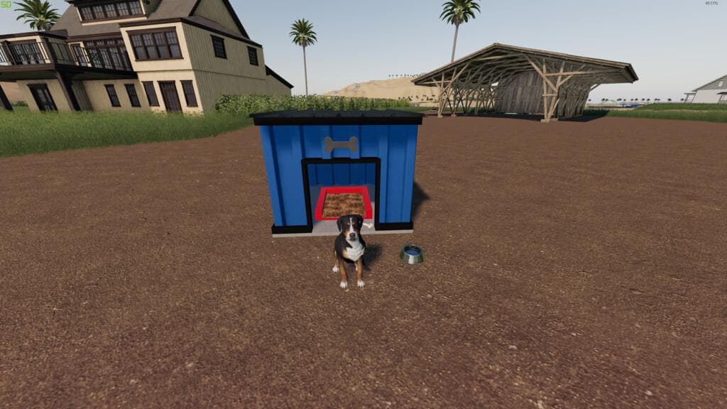 MODERN DOG HOUSE PACK 5