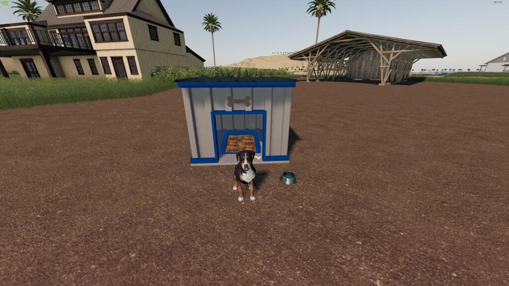 MODERN DOG HOUSE PACK 3