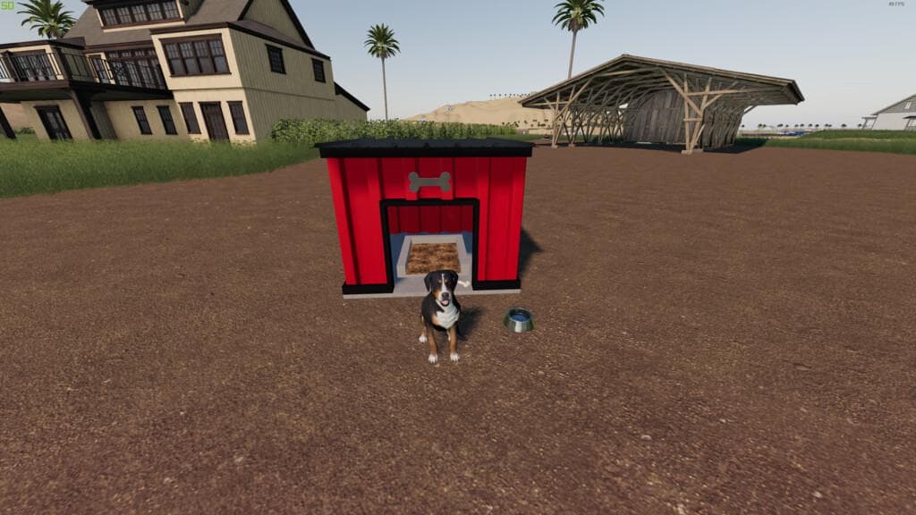 MODERN DOG HOUSE PACK 2
