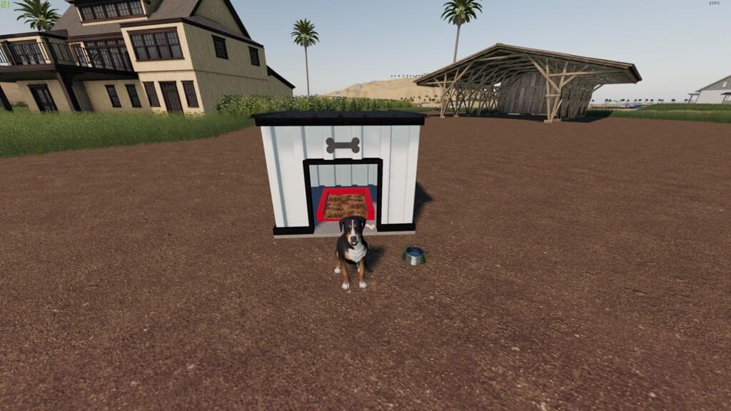 MODERN DOG HOUSE PACK