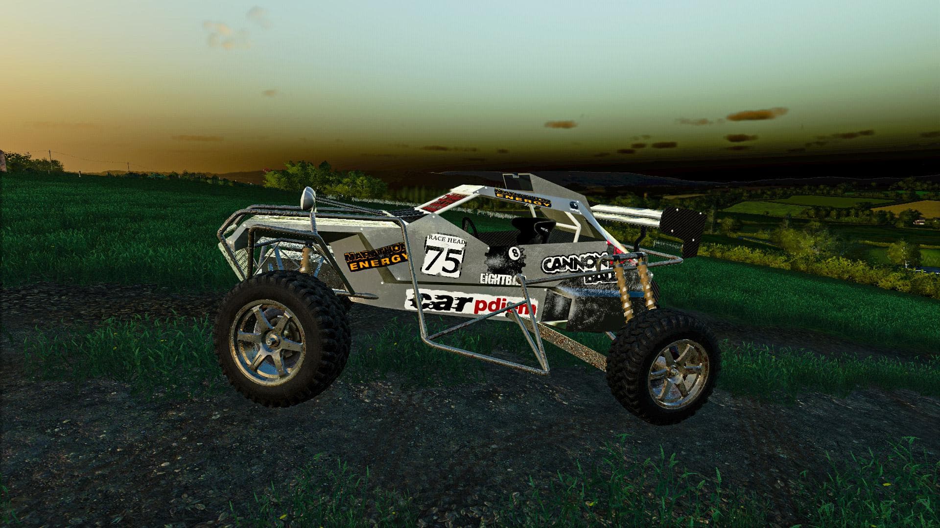 MOTORSTORM BUGGY 3