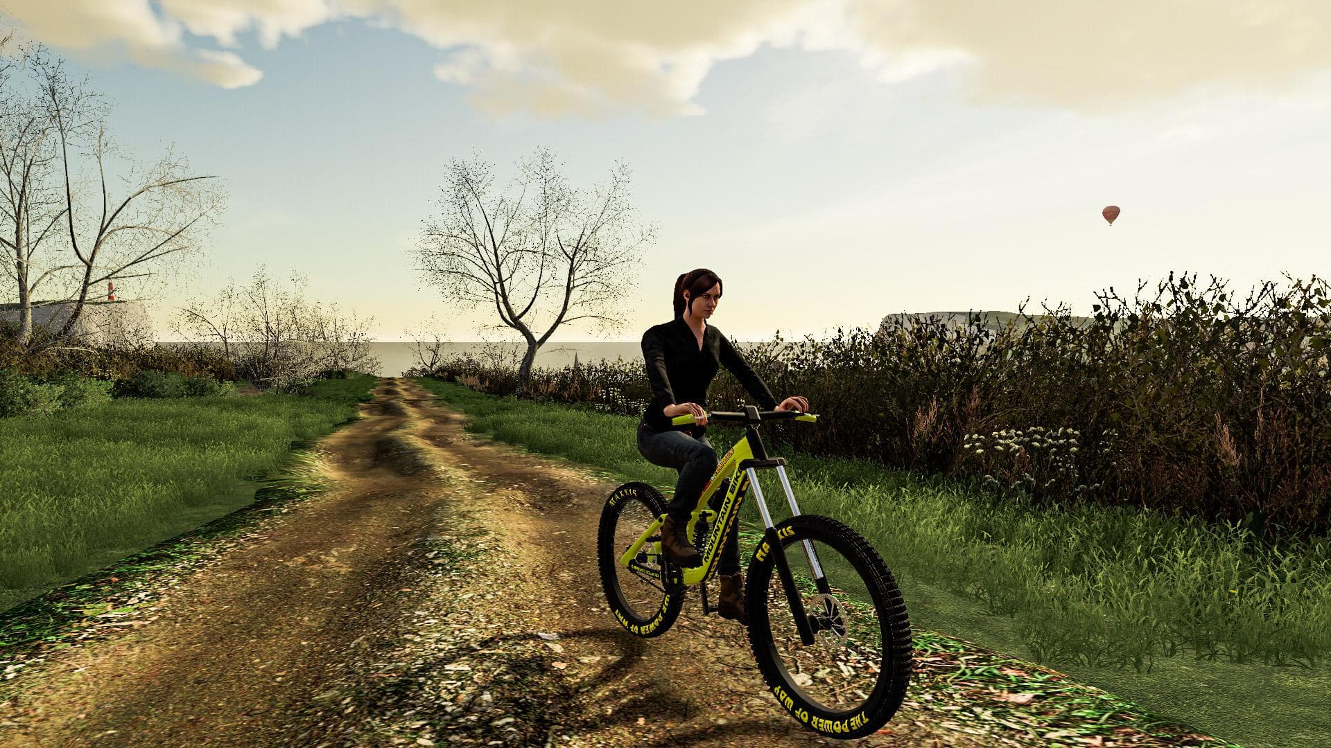 MOUNTAIN BIKE