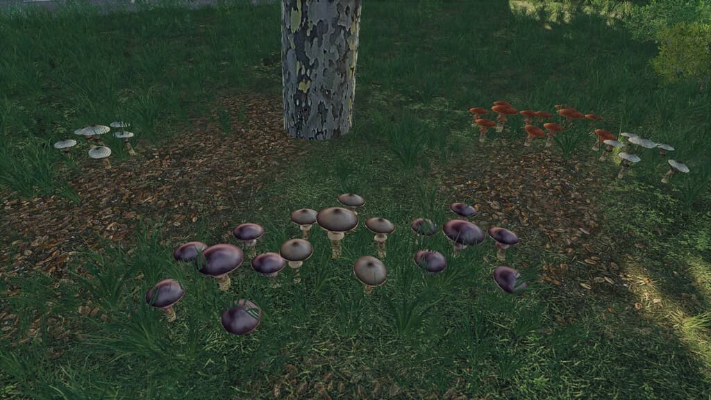 MUSHROOMS 2