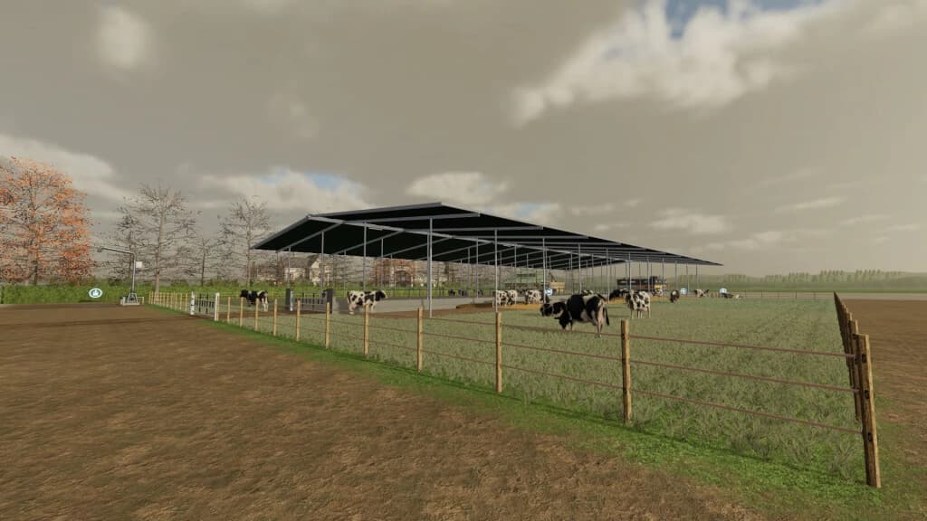 MY COW PASTURE 3