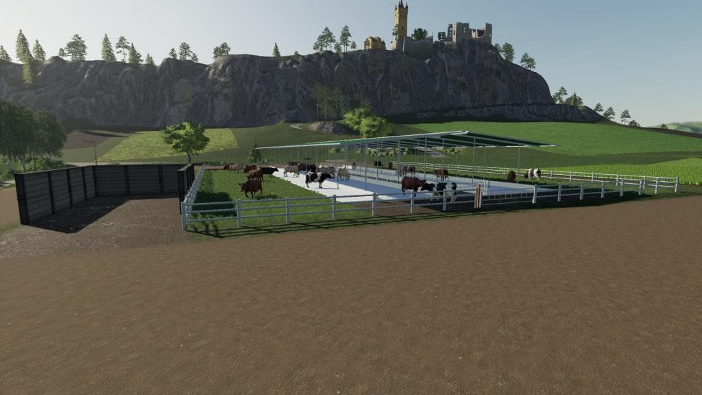MY COW PASTURE
