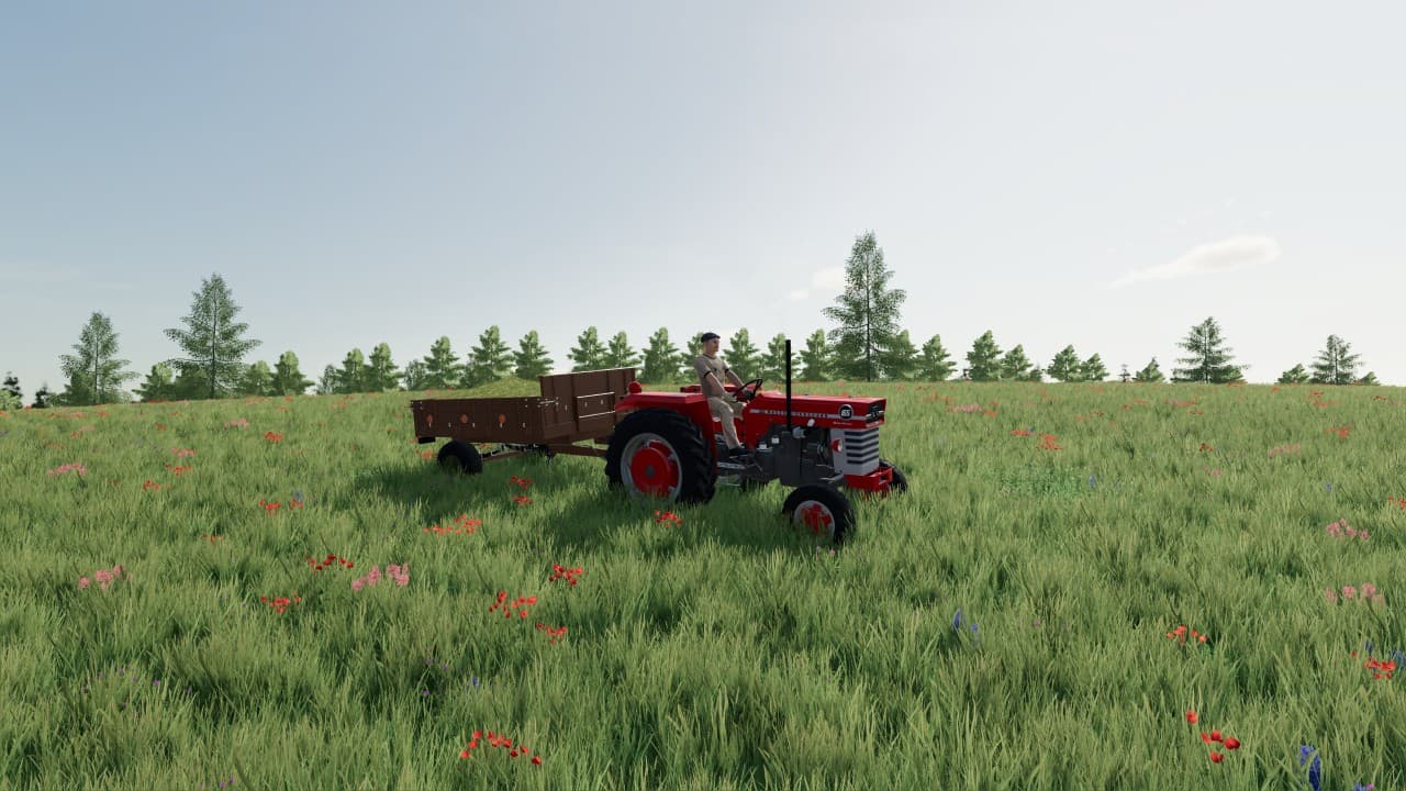 Massey Ferguson 1x5 4