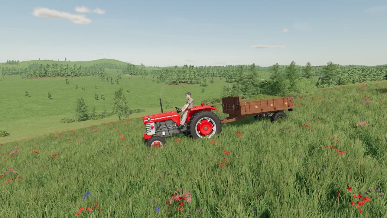 Massey Ferguson 1x5 3