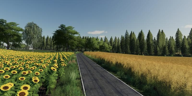 MIDDLE SAXONY 3