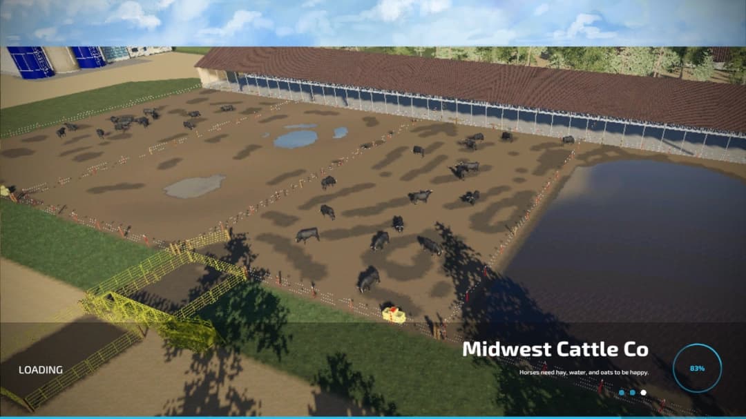 Midwest Cattle Co