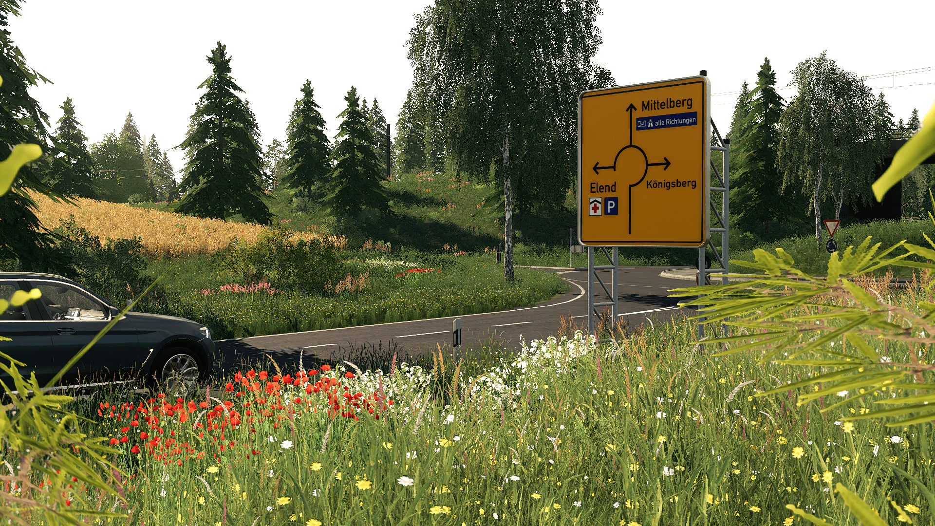 MITTELBERG