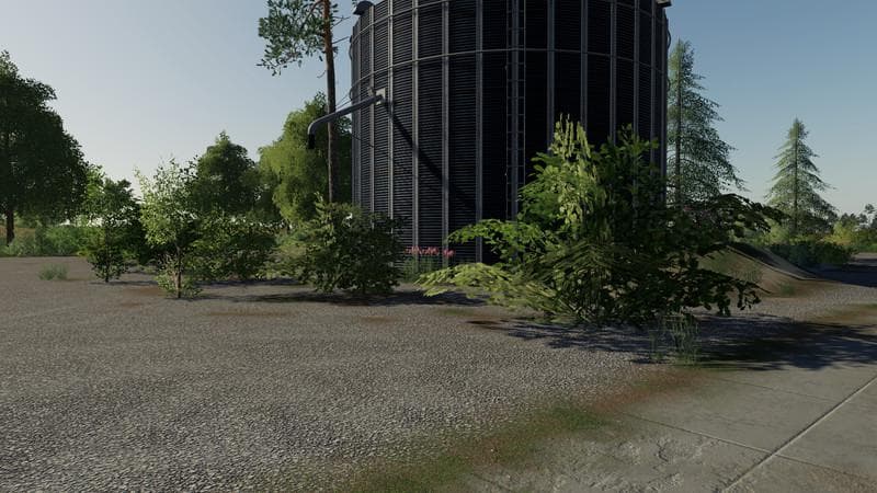 More shrubs 4