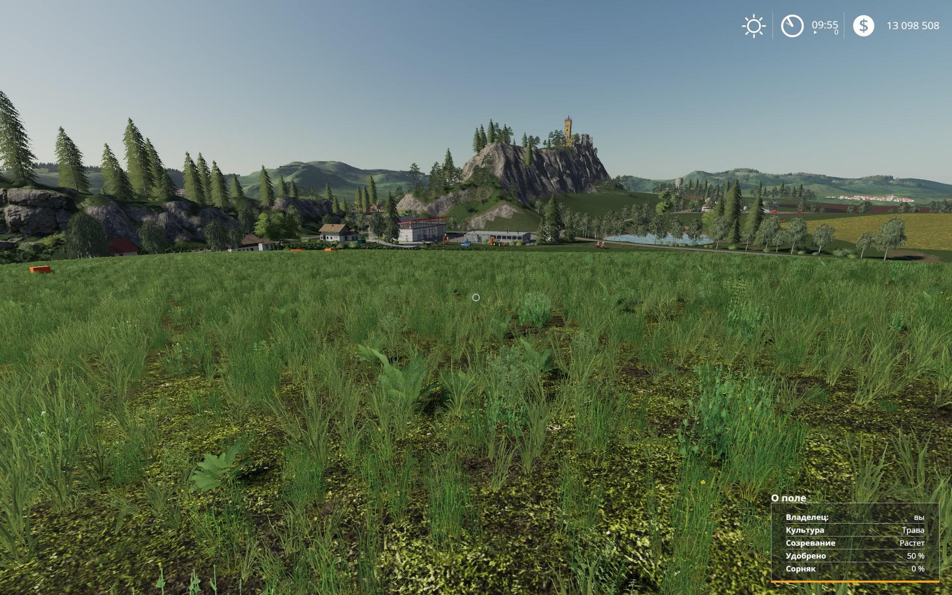 Motley grass 3