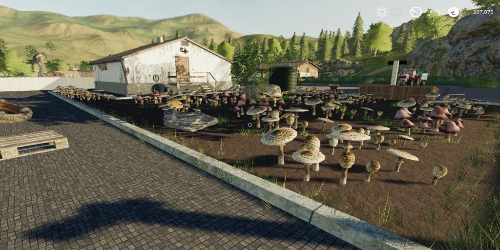 Mushroom Production