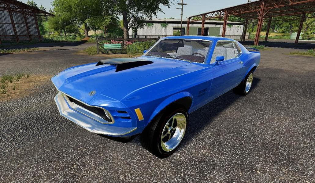 Mustang Boss 429 4