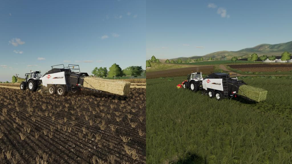 NEW BALES 2