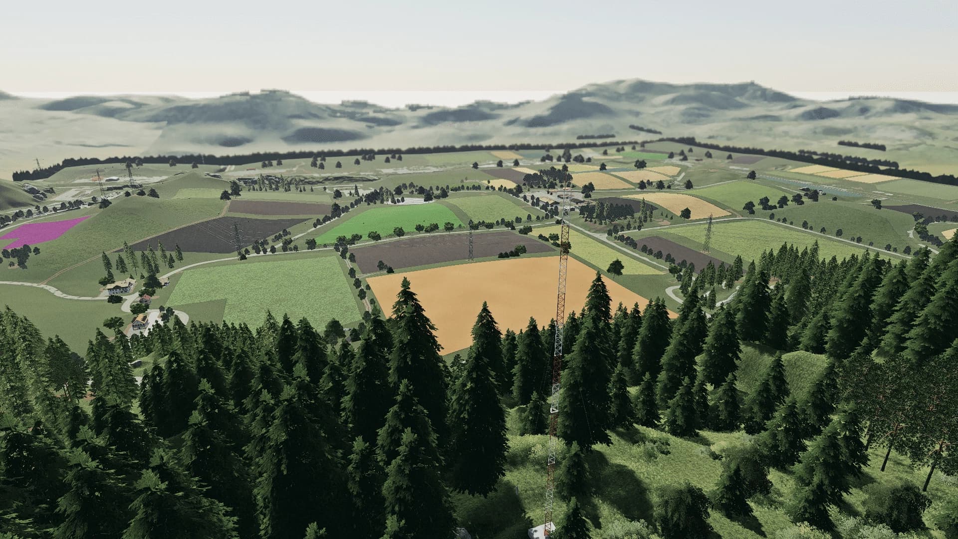 NEW FELSBRUNN (MULTIFRUIT) 4