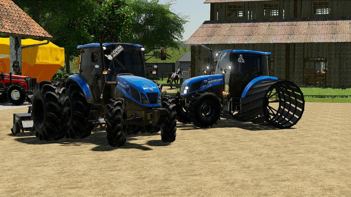 NEW HOLLAND RICE