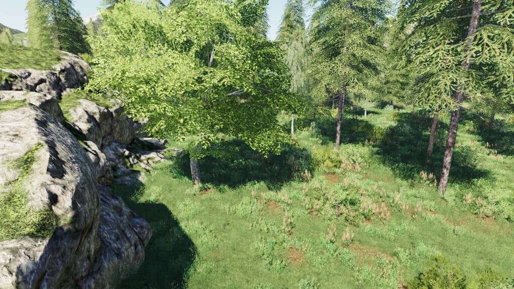 NEW LANDS 5