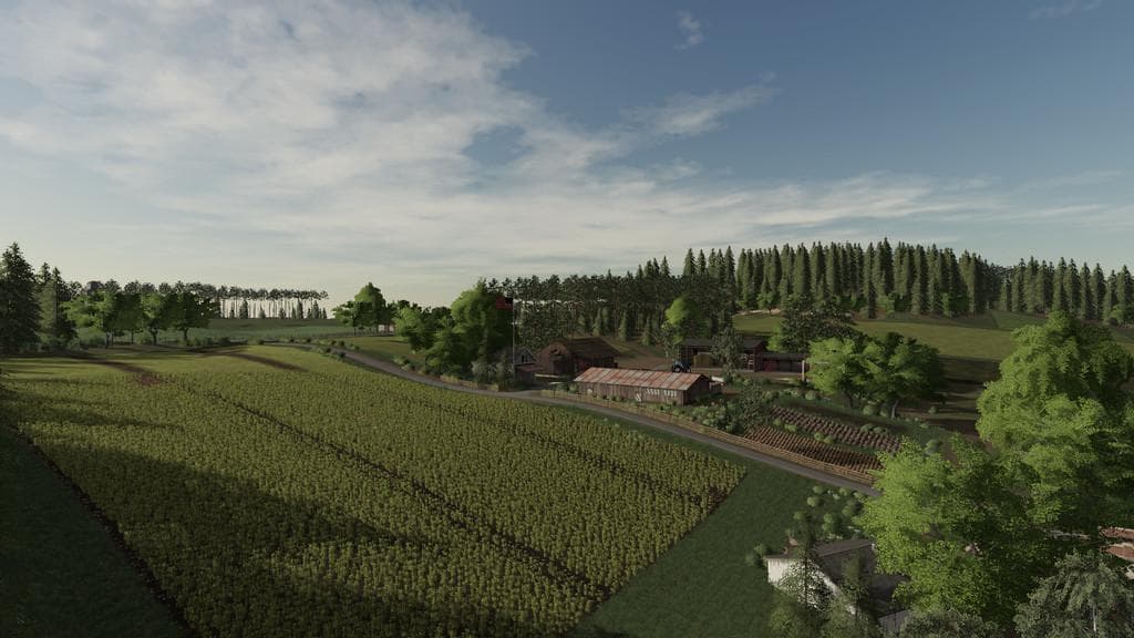 NEW WOODSHIRE 4