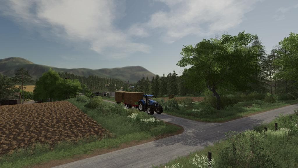 NEW WOODSHIRE 2