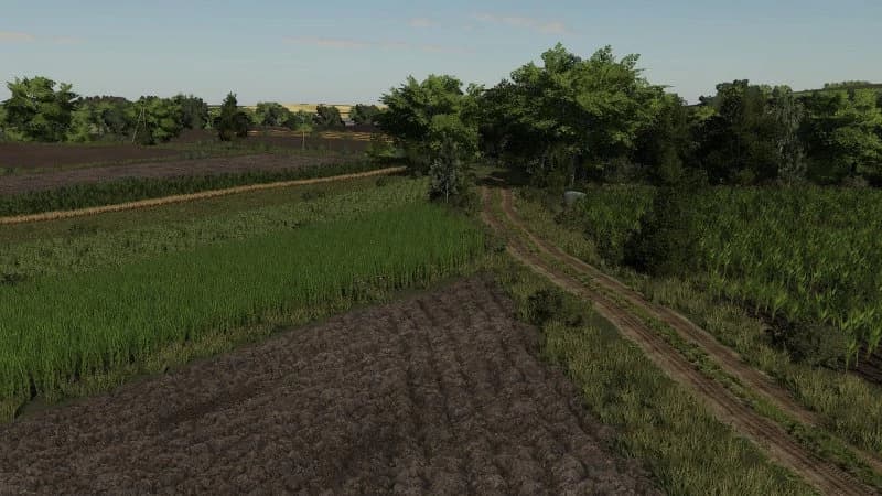 NIEDZIAŁOWICE MAP 5