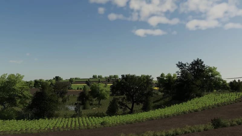 NIEDZIAŁOWICE MAP 2