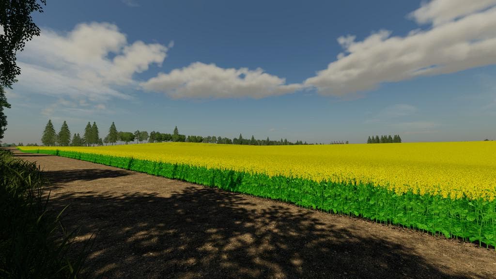 NINGHAN FARMS 3